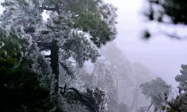 家乡的麻烦